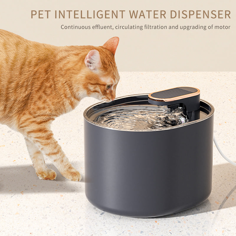 Is Your Cat Getting Enough Water? The Case for a Pet Water Fountain