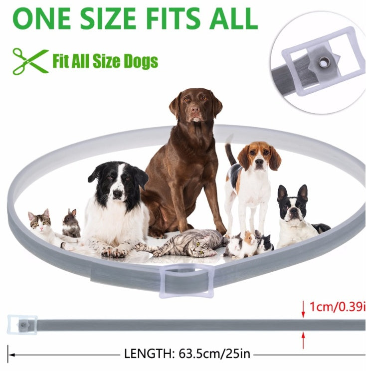 Flea & Tick Repellent Collar – 8 Month Protection, Cats & Dogs — image 2