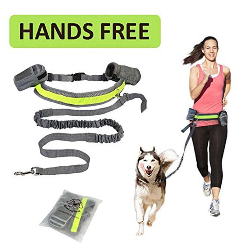 Hands-Free Running Dog Lead – Adjustable Waist Belt Leash