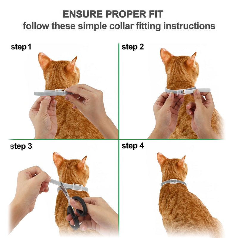 Flea & Tick Repellent Collar – 8 Month Protection, Cats & Dogs — image 5