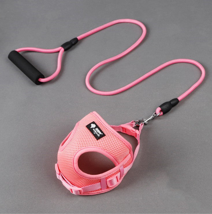 Padded Handle Dog Lead & Harness Set – Soft Foam Grip, Adjustable, 4 Colours — image 4