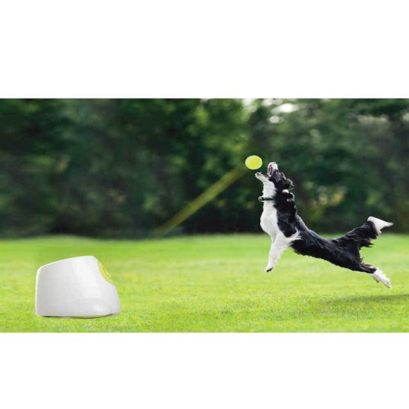 Hyper Fetch Maxi Dog Ball Thrower - Large Interactive Pet Toy Launcher — image 9