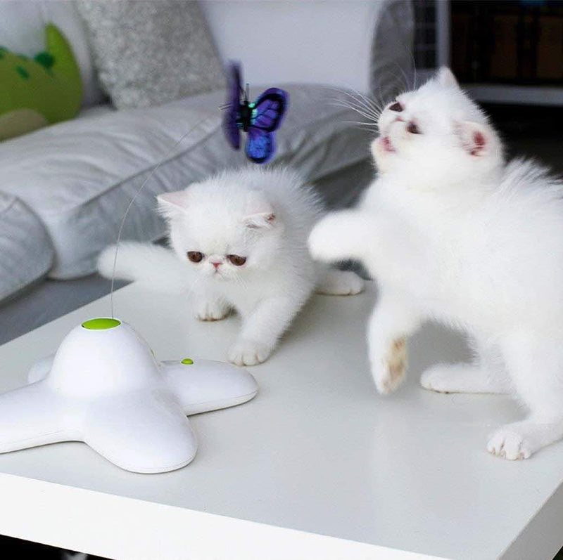 Flutter Bug Butterfly Cat Toy - Interactive Teaser Pet Kitty Play - All for Paws — image 3