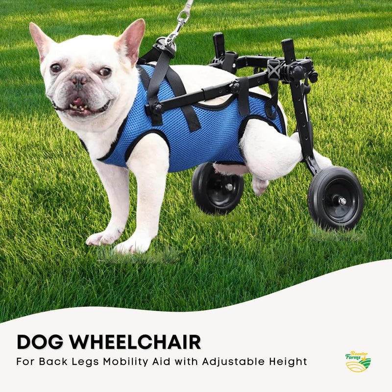 Rooster Farms Little Dog Wheelchair Small Harness - Adjustable Back Leg Aid — image 4