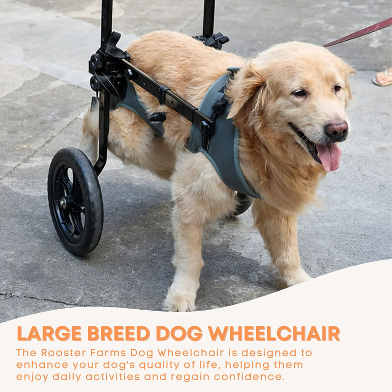 Rooster Farms Large Dog Wheelchair XXL Harness - Adjustable Back Leg Aid — image 5