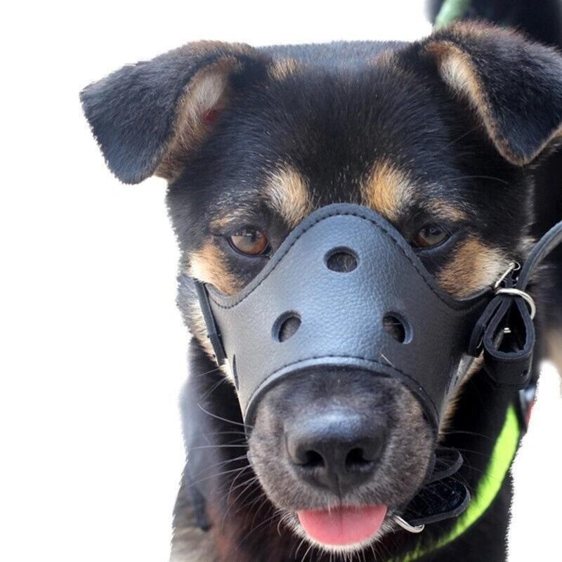 Leather Dog Muzzle – Anti-Bite & Anti-Chew, Brown (L) — image 10