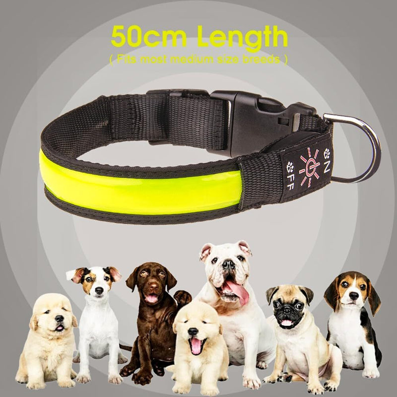 USB Rechargeable LED Dog Collar – 3 Light Modes, 50cm, Nylon Safety Glow Collar — image 4