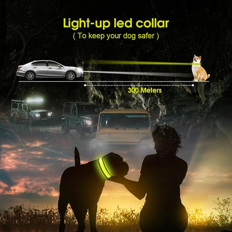 USB Rechargeable LED Dog Collar – 3 Light Modes, 50cm, Nylon Safety Glow Collar — image 5