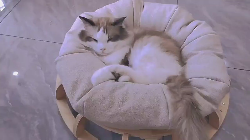 Timber Gyro Cat Nest Bed — image 6