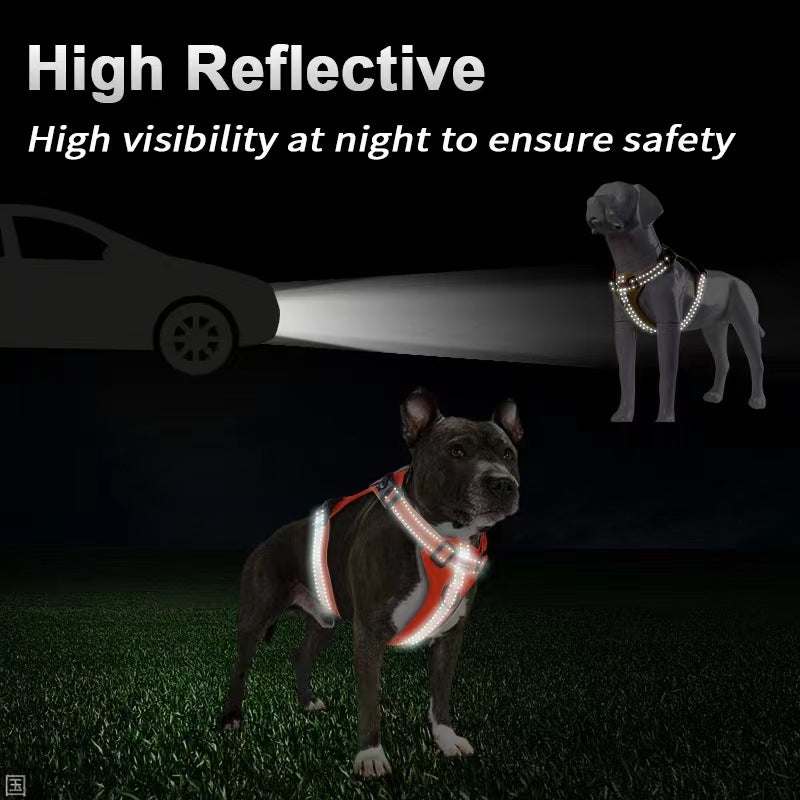 Reflective Dog Harness with Leash, No-Pull Vest Harness for Dogs, Adjustable Dog Vest with Handle, Walking Training Pet Harness L size — image 5