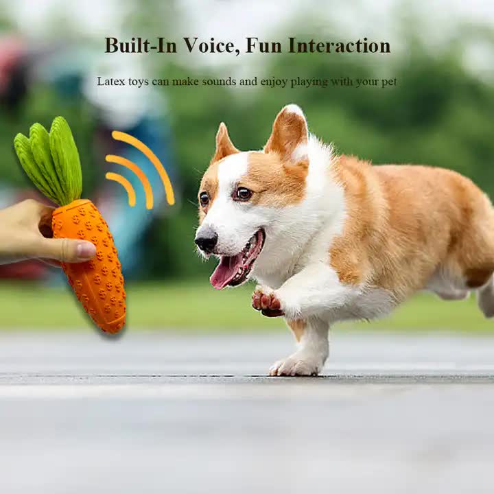 2 PCS Durable Rubber Carrot Dog Toy β Squeaky Chew Toy for Large Dogs, Puppy Teething & Dental Care, Interactive Play for Bored Pets β image 3