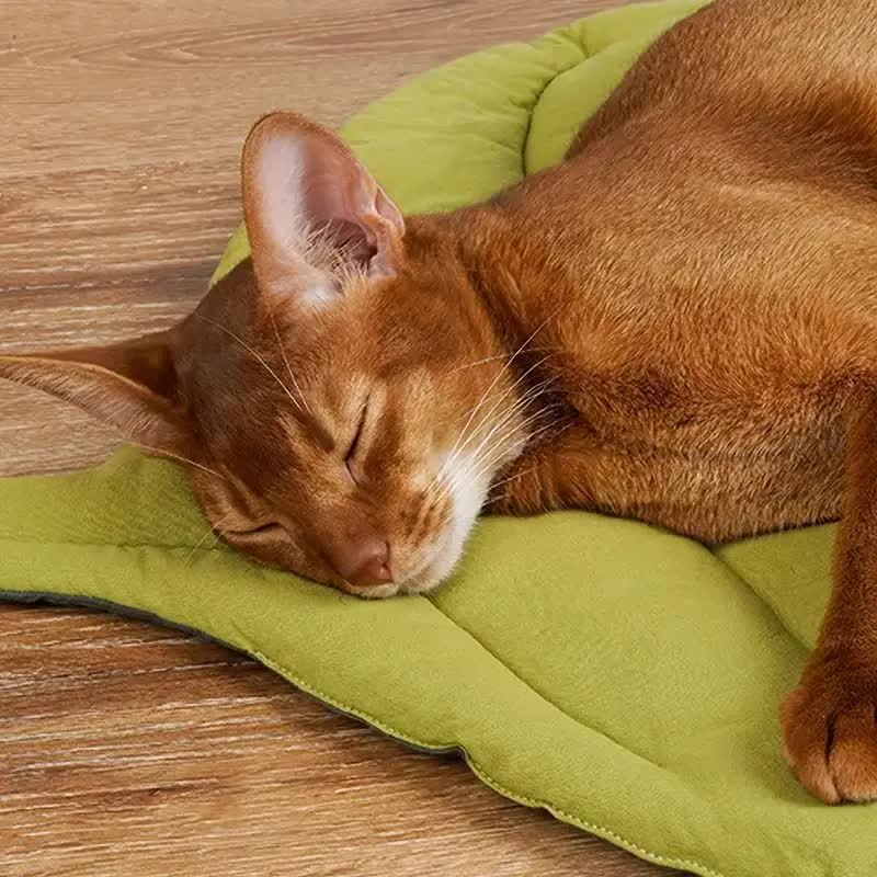 Leaf-Shaped Pet Sleeping Mat – Soft Felt Fabric, Machine Washable — image 4