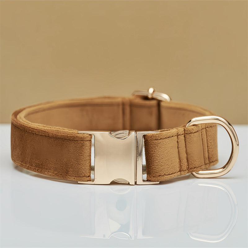 Light Brown Durable Dog Collar with Metal Buckle - Adjustable Nylon Pet Collar for Small to Large Dogs Size XS — image 2