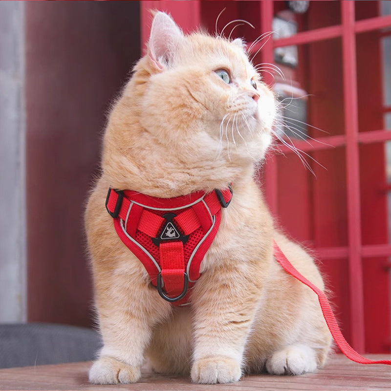 Red Reflective Mesh Dog Harness and Leash Set - Adjustable No-Pull Vest - M — image 2