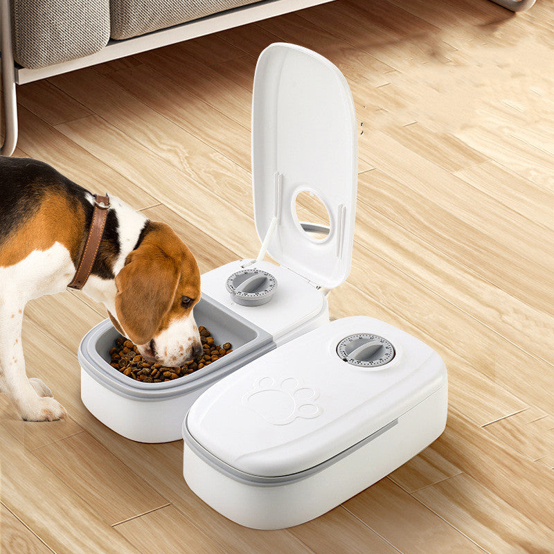 2-in-1 Gravity Auto Pet Feeder & Water Dispenser – Stainless Bowl, Cats & Dogs — image 5