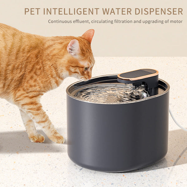 Is Your Cat Getting Enough Water? The Case for a Pet Water Fountain