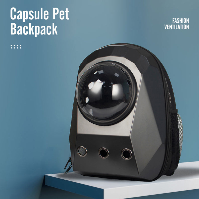 Taking Your Cat to the Vet Without the Stress – Carrier Guide for Aussie Cat Owners