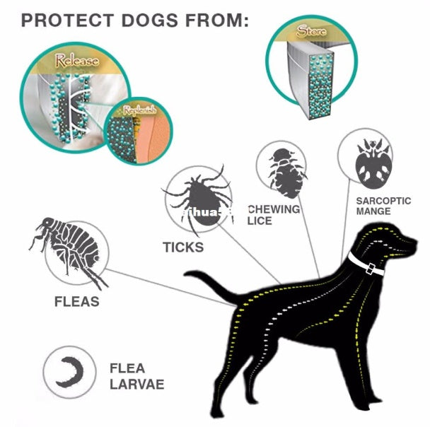 Flea & Tick Repellent Collar – 8 Month Protection, Cats & Dogs — image 3