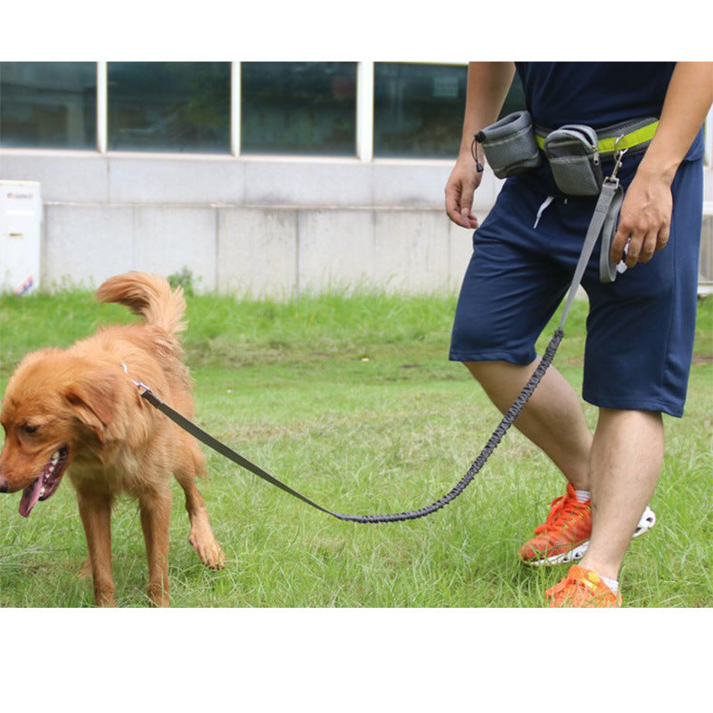 Hands-Free Running Dog Lead – Adjustable Waist Belt Leash — image 7