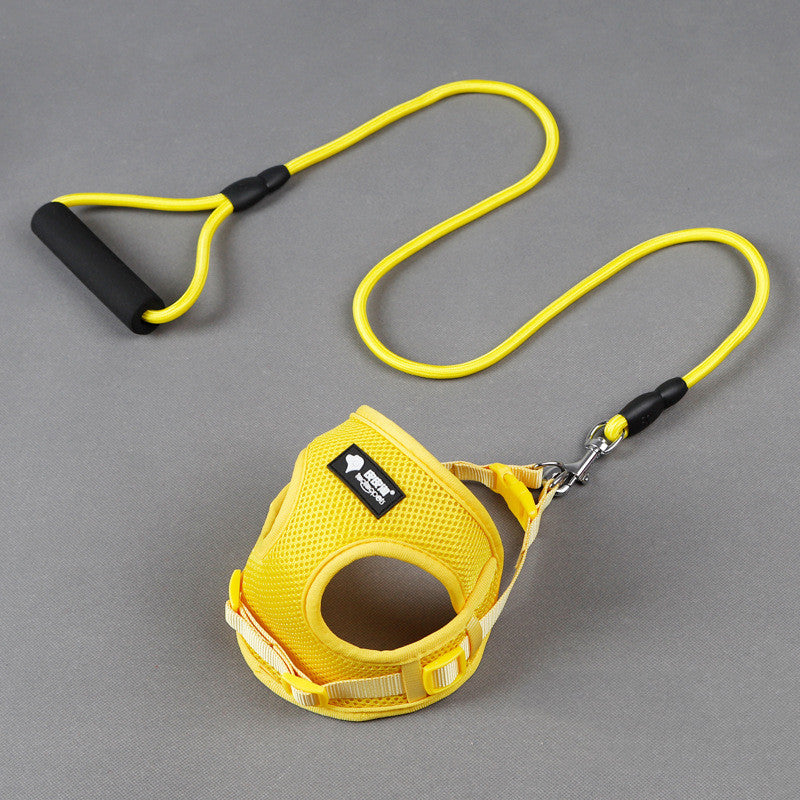 Padded Handle Dog Lead & Harness Set – Soft Foam Grip, Adjustable, 4 Colours — image 7