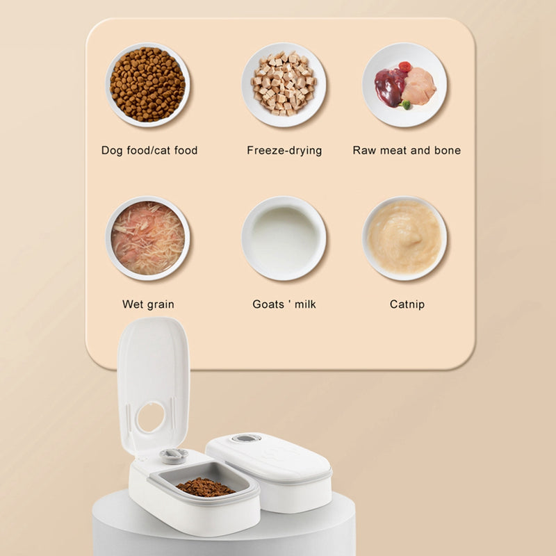 2-in-1 Gravity Auto Pet Feeder & Water Dispenser – Stainless Bowl, Cats & Dogs — image 6