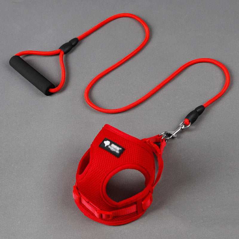 Padded Handle Dog Lead & Harness Set – Soft Foam Grip, Adjustable, 4 Colours — image 3
