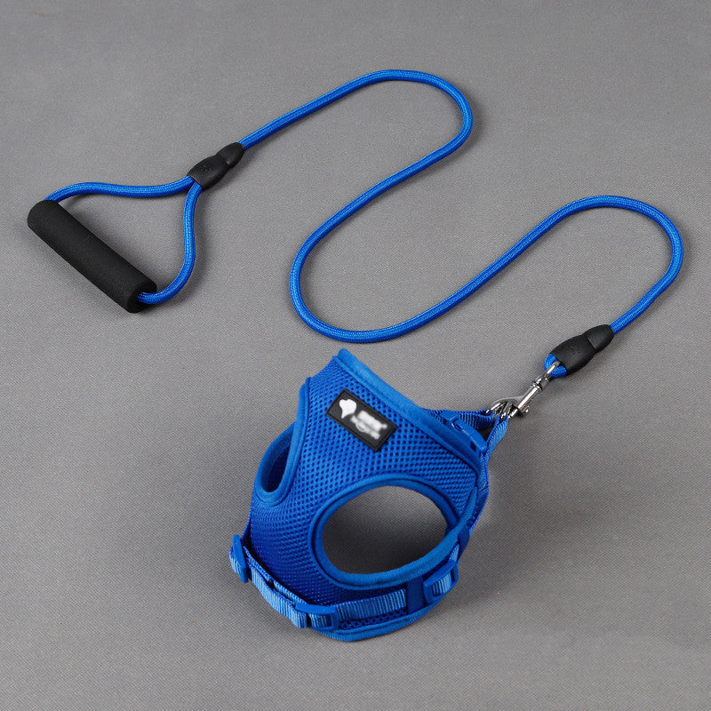 Padded Handle Dog Lead & Harness Set – Soft Foam Grip, Adjustable, 4 Colours