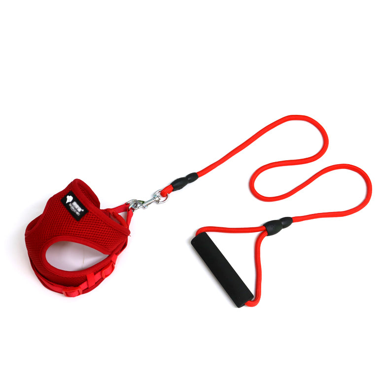 Padded Handle Dog Lead & Harness Set – Soft Foam Grip, Adjustable, 4 Colours — image 5