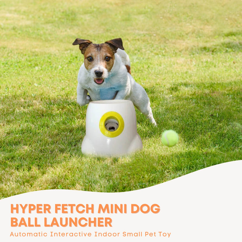 Hyper Fetch Mini Dog Ball Launcher - Automatic Interactive Indoor Small Pet Toy — image 2
