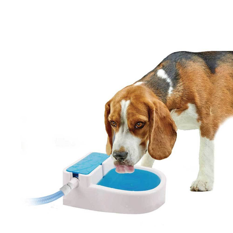 Auto Filling Dog Drinking Water Fountain - Outdoor Automatic Pet Drinking Bowl — image 2