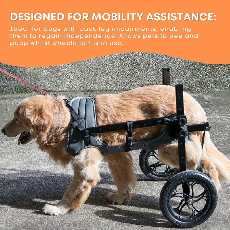 Rooster Farms Large Dog Wheelchair XXL Harness - Adjustable Back Leg Aid — image 7