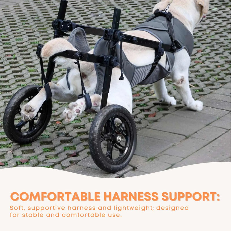 Rooster Farms Large Dog Wheelchair XXL Harness - Adjustable Back Leg Aid — image 9