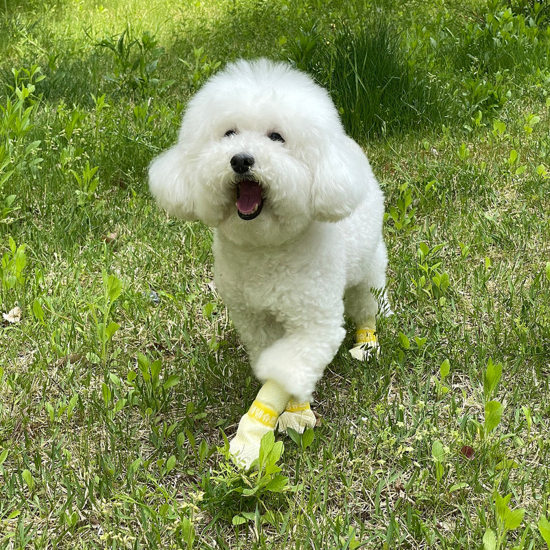 28pc X Dog Shoes Waterproof Disposable Boots Anti-Slip Pet Socks M VIOLET — image 2