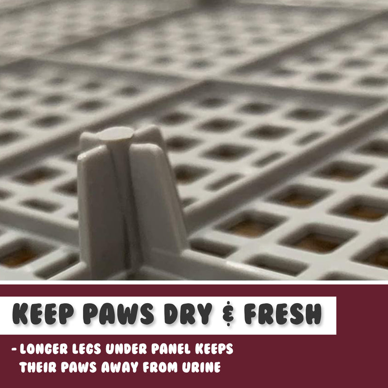 Dog Pet Potty Tray Training Toilet Raised Walls T1 WINE — image 6