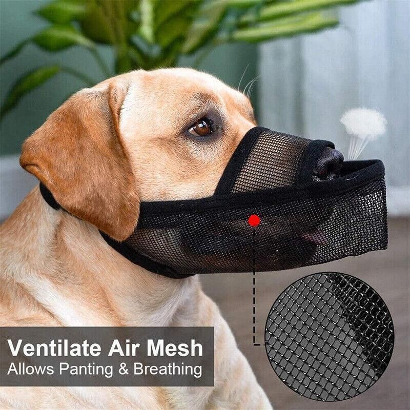 Adjustable Dog Muzzle – Anti-Bite & Anti-Chew, Grey (XL) — image 7