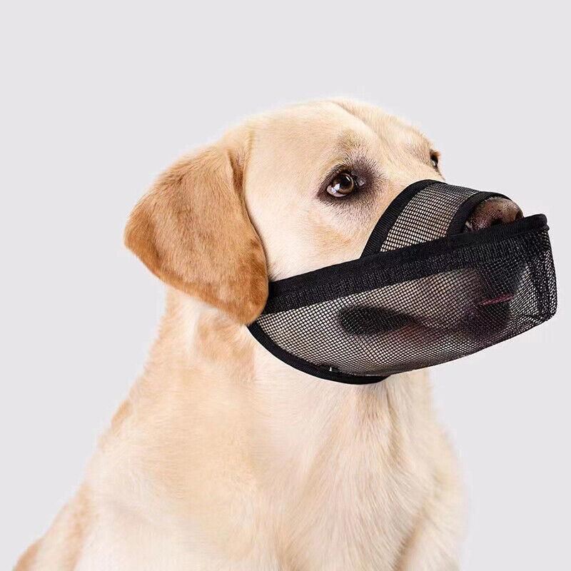 Adjustable Dog Muzzle – Anti-Bite & Anti-Chew, Grey (XL) — image 10
