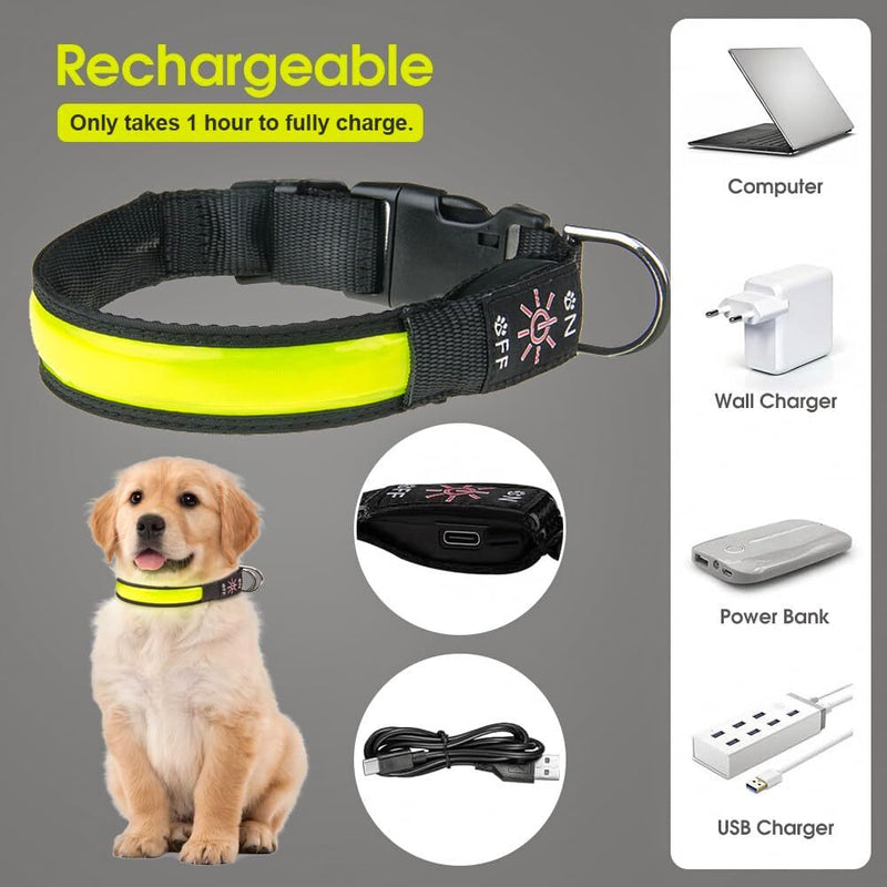 USB Rechargeable LED Dog Collar – 3 Light Modes, 50cm, Nylon Safety Glow Collar — image 6