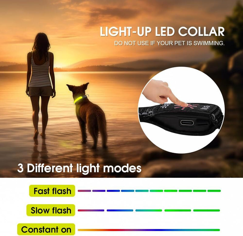 USB Rechargeable LED Dog Collar – 3 Light Modes, 50cm, Nylon Safety Glow Collar — image 7