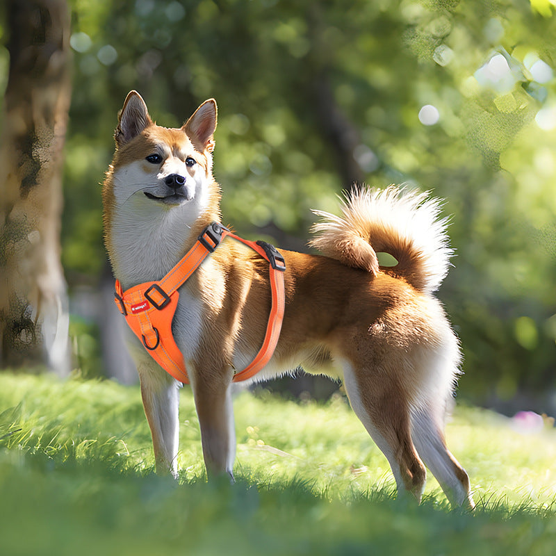 Reflective Dog Harness with Leash, No-Pull Vest Harness for Dogs, Adjustable Dog Vest with Handle, Walking Training Pet Harness L size — image 3