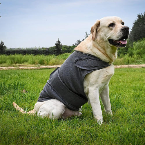 Dog Vest Jacket (XXXL)