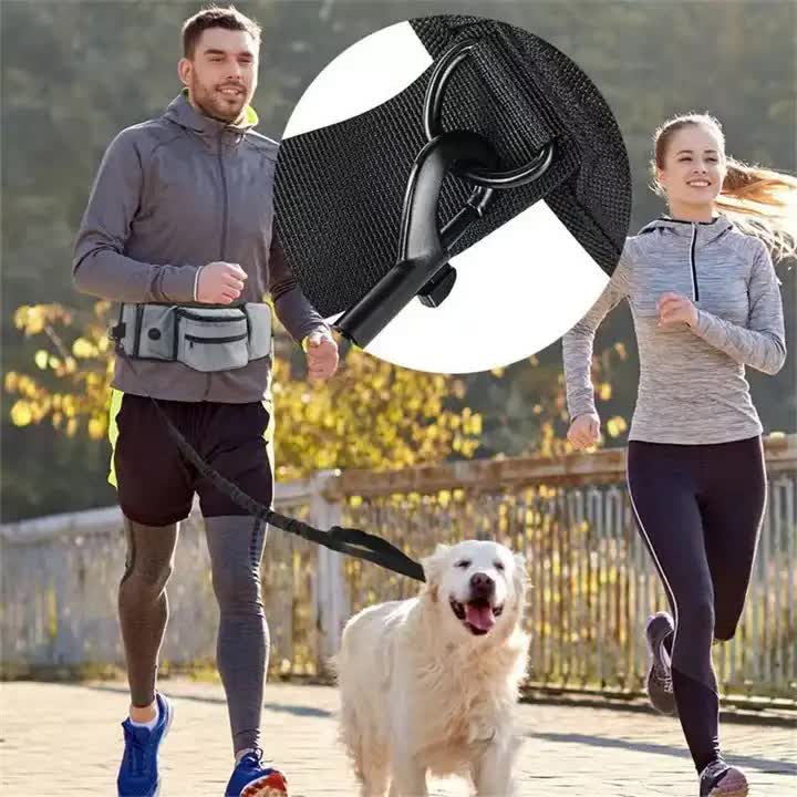 Dog Walking & Training Waist Bag – Treat Pouch & Waste Bag Holder (Black)