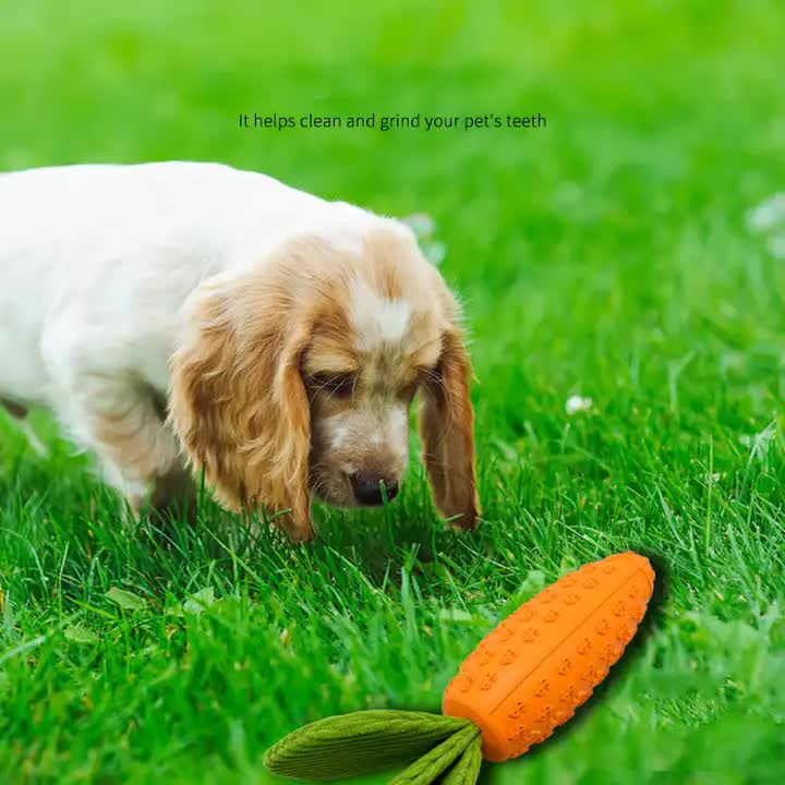 2 PCS Durable Rubber Carrot Dog Toy – Squeaky Chew Toy for Large Dogs, Puppy Teething & Dental Care, Interactive Play for Bored Pets — image 5