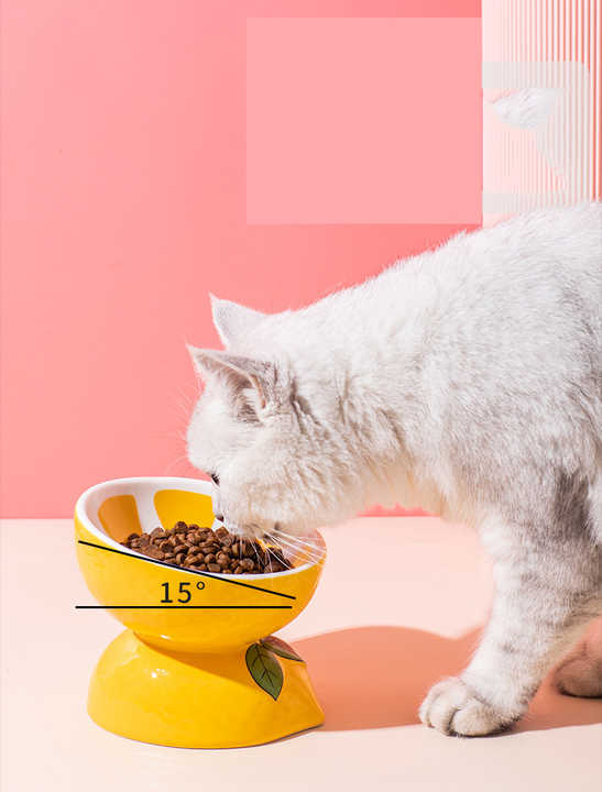 Ceramic Elevated Pet Food Bowl - Cute Pitaya Pattern Design for Cats and Small Dogs — image 3