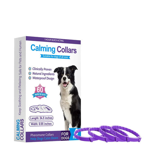 Calming Collars for Dogs (Purple) – 4 Pack