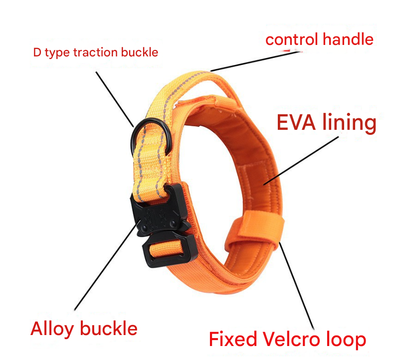 L khaki Hands-Free Dog Leash with Adjustable Waist Belt - Shock Absorbing Bungee Lead — image 3