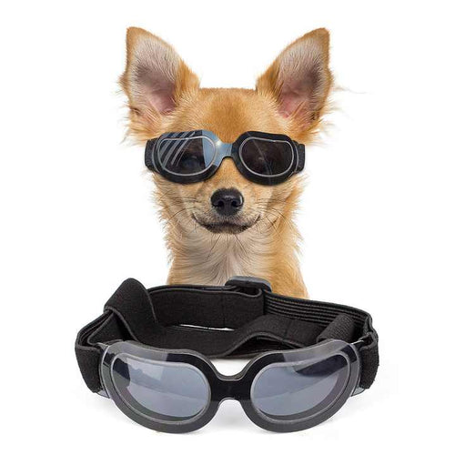 Pet Sunglasses with UV Protection & Adjustable Strap (Black)
