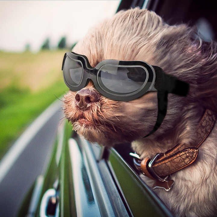 Black Lenses Pet Sunglasses for Dogs and Cats - UV Protection, Adjustable Strap, Anti-Wind and Anti-Fog Pet Goggles — image 5