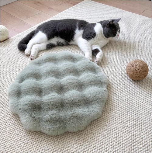 Matcha Colour Plush Round Cat Mat - Soft Faux Fur Sleeping Pad (40cm Diameter)