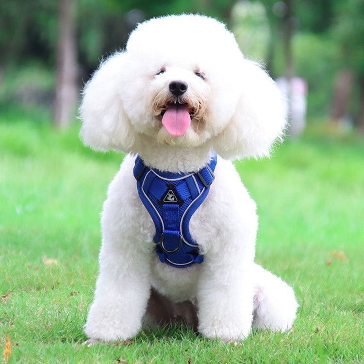 Blue Reflective Mesh Dog Harness and Leash Set - Adjustable No-Pull Vest - S — image 2