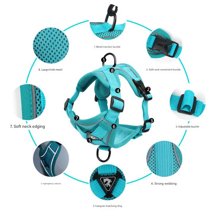 Blue Reflective Mesh Dog Harness and Leash Set - Adjustable No-Pull Vest - S — image 4